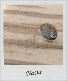 Natur